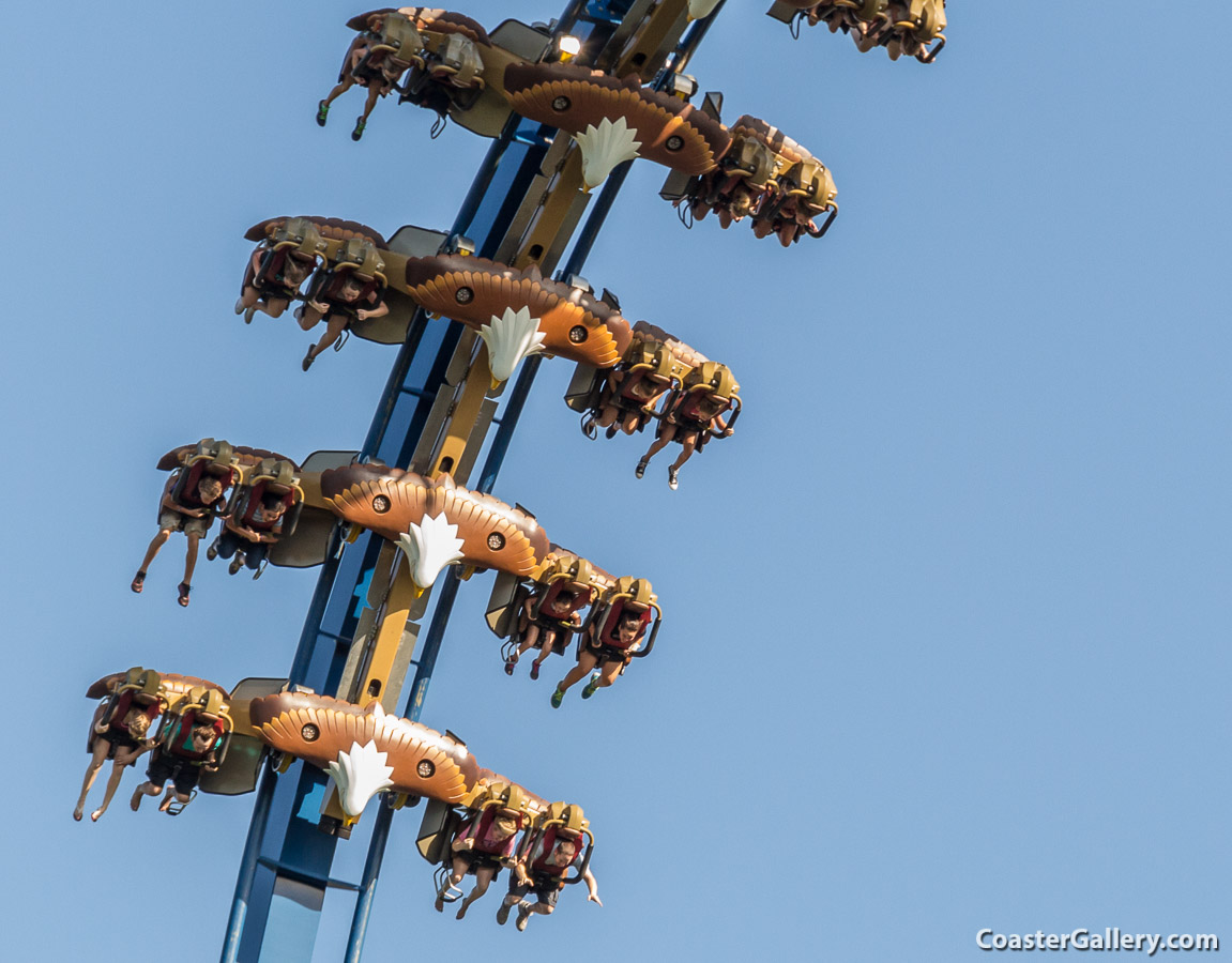 Wild Eagle roller coaster