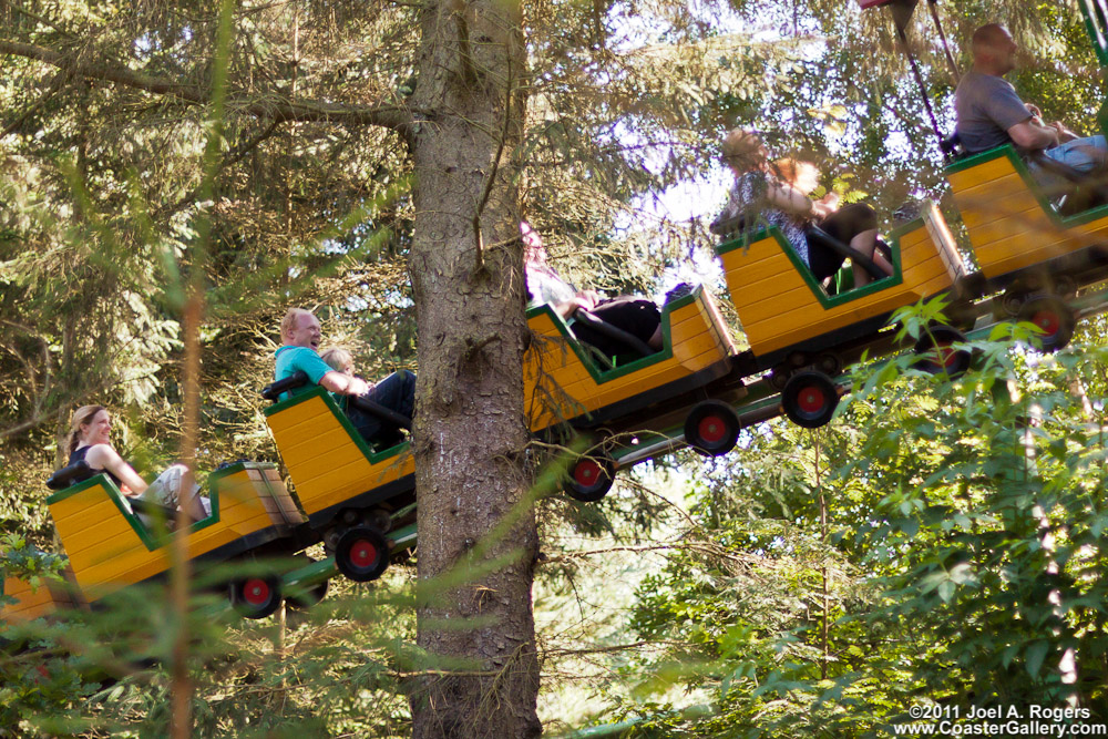 Roller coaster in the woods