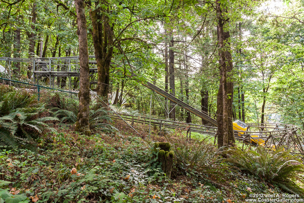 A roller coaster on the wooded hillside