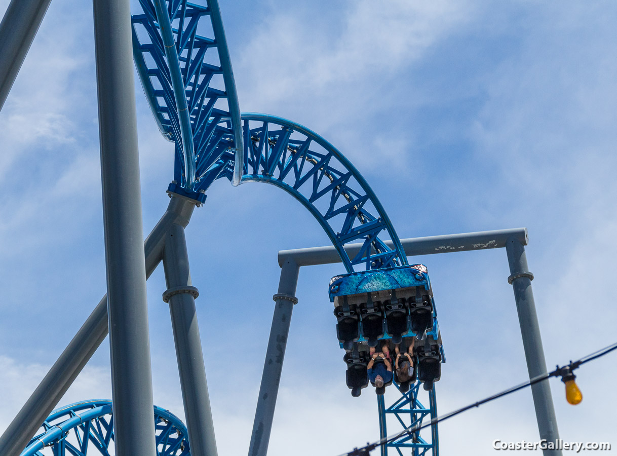 Four types of loops on the Iron Shark. Riders go through a vertical loop, 
and Immelmann loop (which is shown here), a dive loop, and an inclined loop.