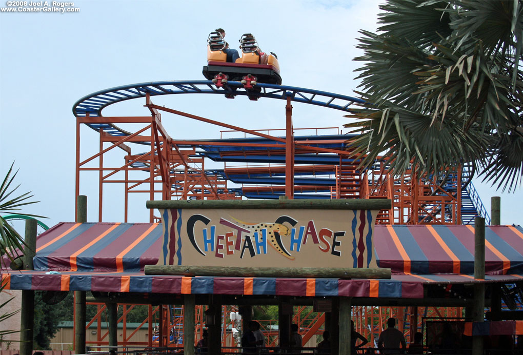 Sand Serpent (formerly the Cheetah Chase) mad mouse ride in Busch Gardens