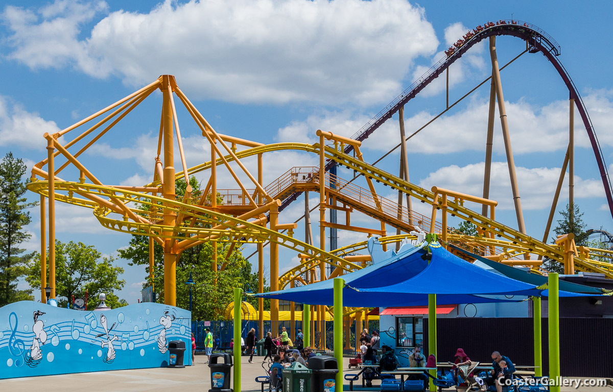 Flying Ace Aerial Chase and Diamondback