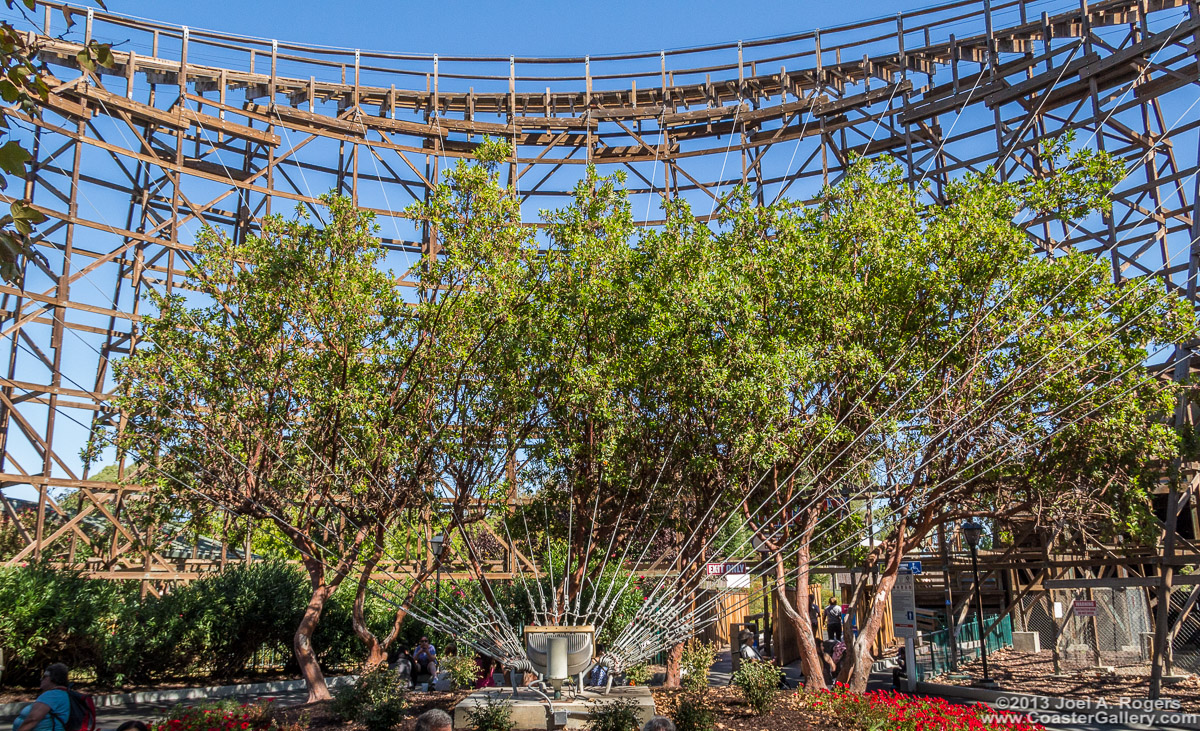 Grizzly roller coaster in California