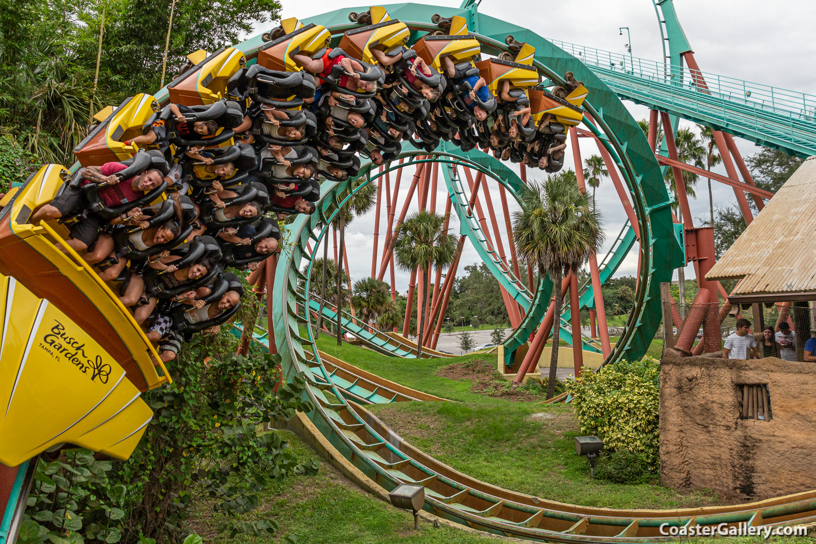 A picture of Kumba roller coaster train going through a corkscrew loop