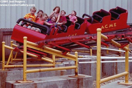 Wild Kitten roller coaster?