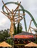 Cheetah Hunt