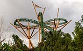 Cheetah Hunt