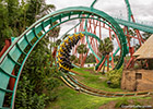 Picture of Kumba