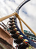 Picture of Montu