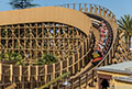 Gold Striker