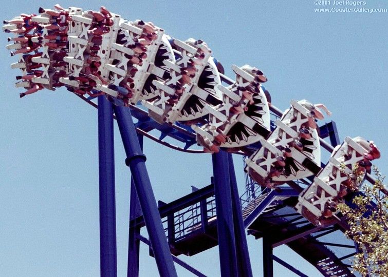Teeth on the Great White ride