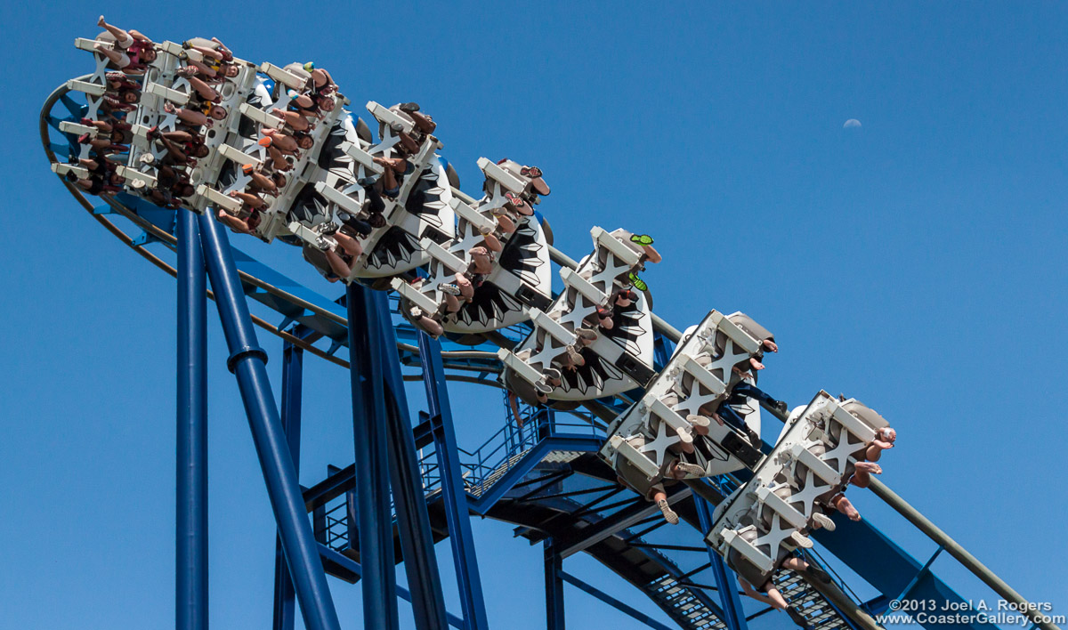 Teeth on the Great White ride