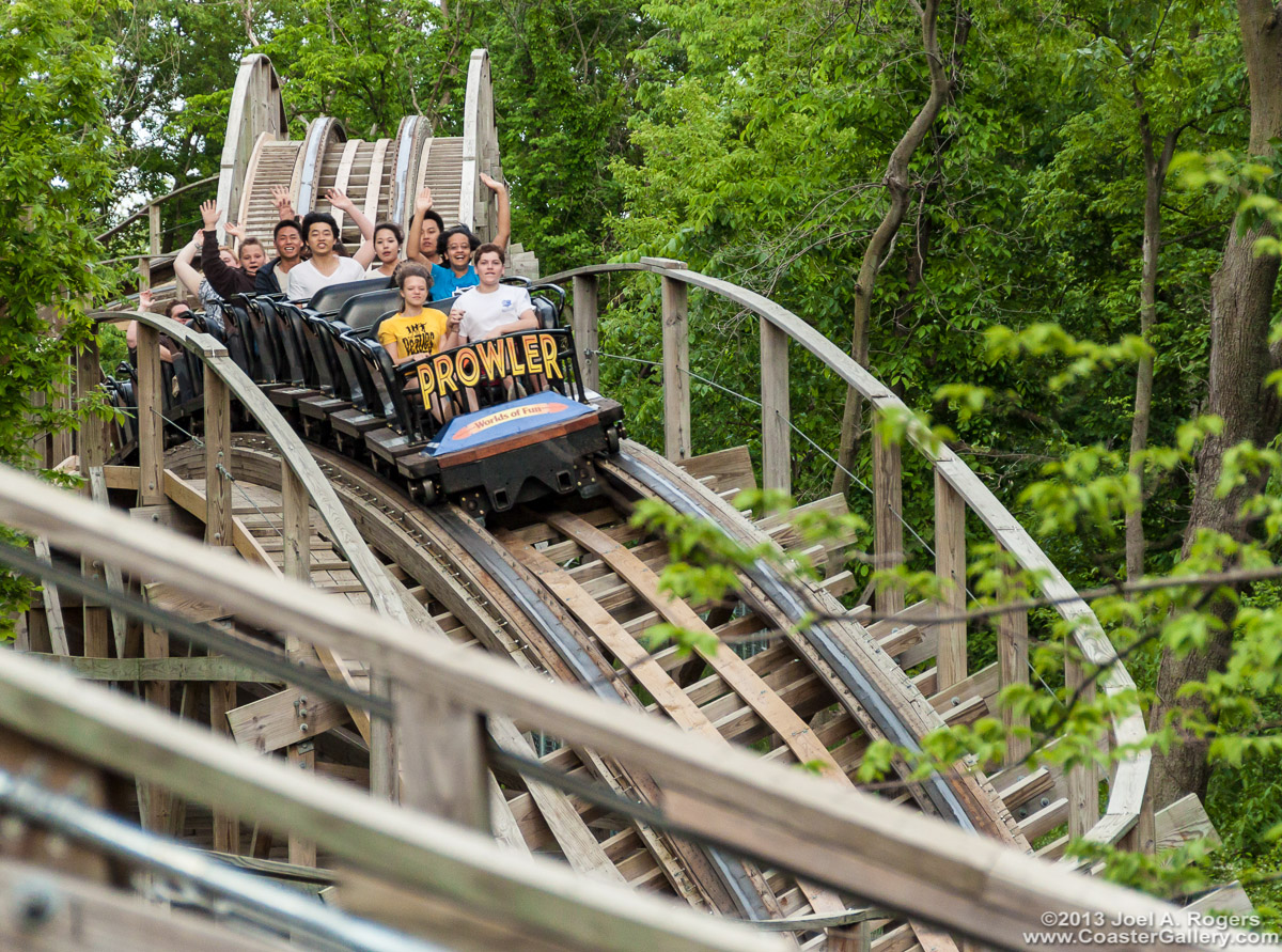 Roller coaster train in the woods