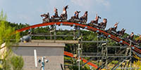 Iron Rattler