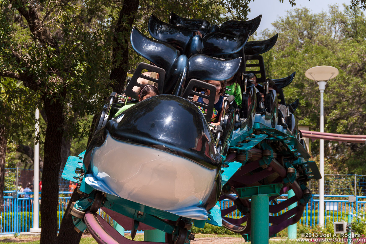 Shamu Express roller coaster