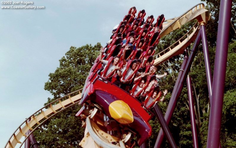 Stand-up looping roller coaster