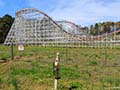 PTC roller coaster