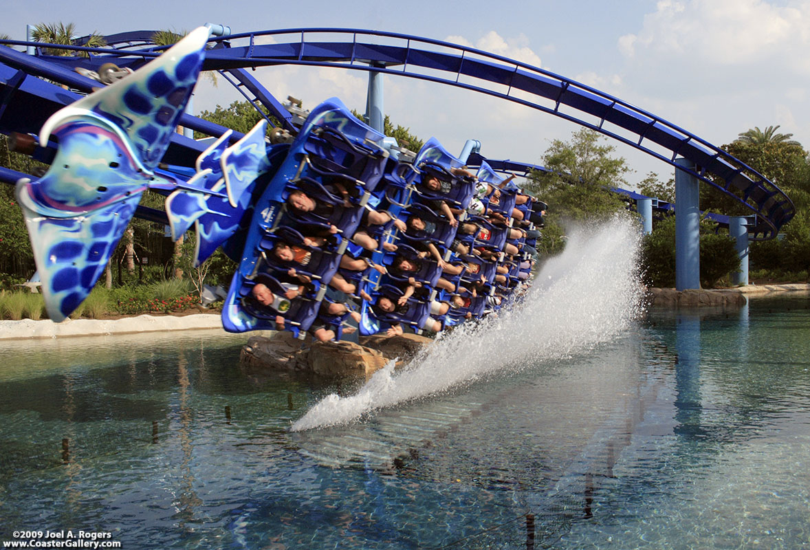 Manta making a wake in the water