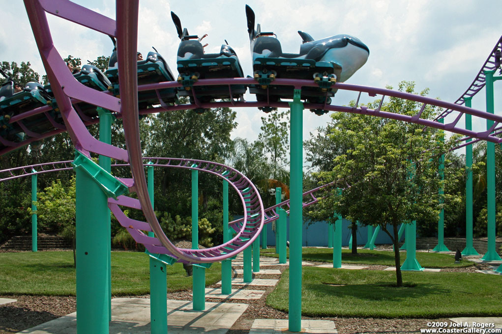 Family roller coaster shaped like Shamu the killer whale