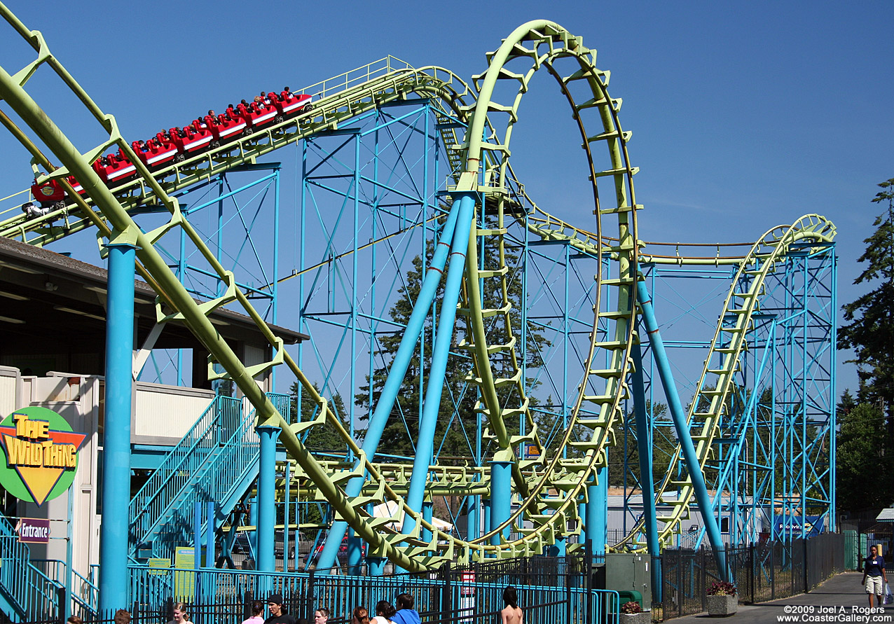 The Wild Thing looping coaster