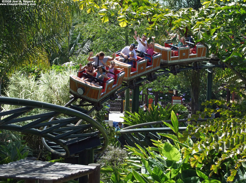 Kid coaster surrounded by trees