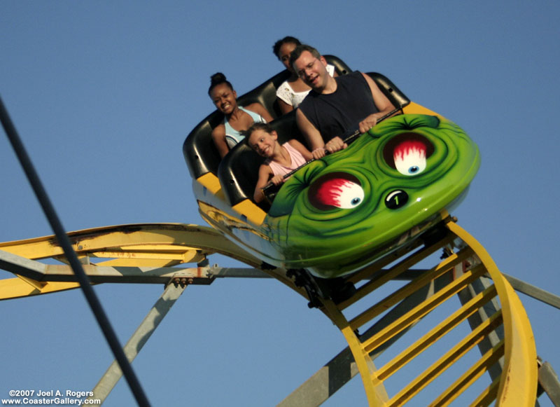 WildMouse01.jpg