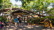 Coastersaurus coaster at Legoland Florida