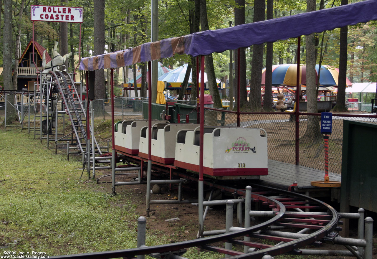 Roller coaster loading and unloading platform