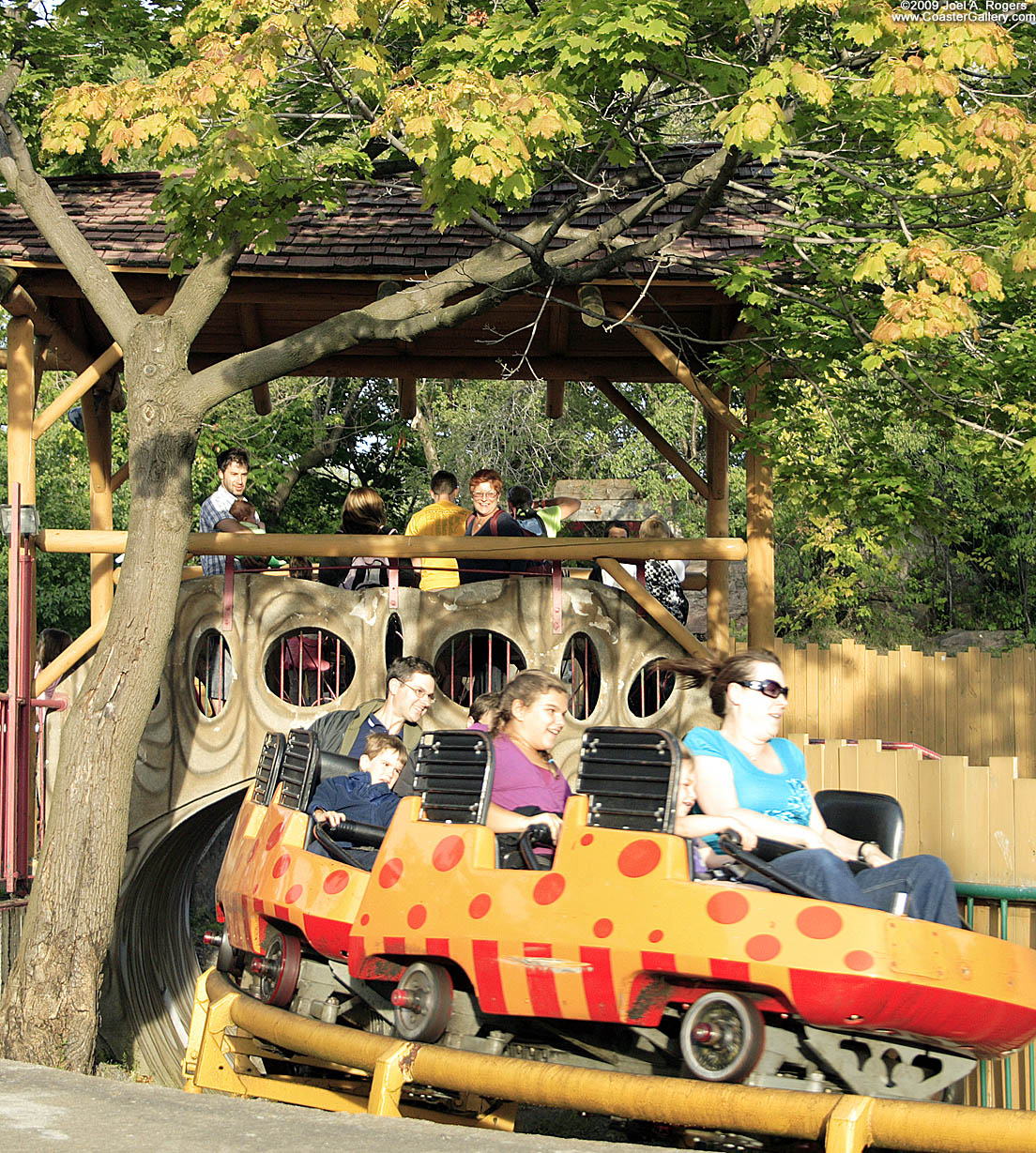 A small coaster pasing through the fall leaves