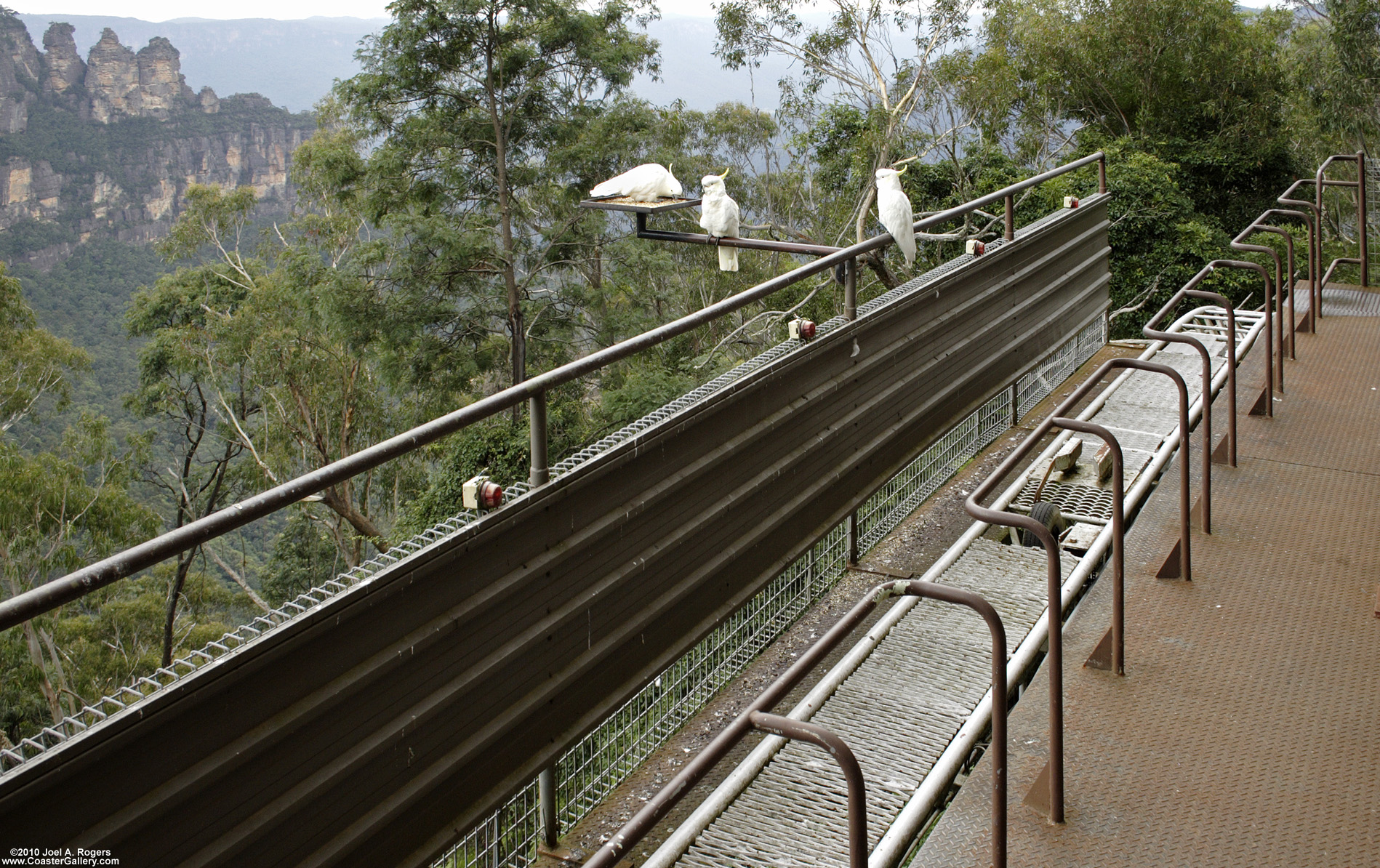 Birds and the Three Orphans near Katoomba, Australia