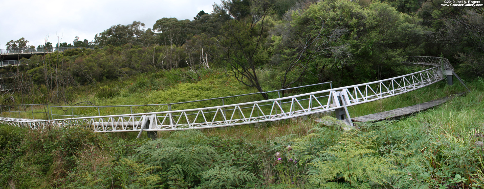 Roller coaster turning between trees