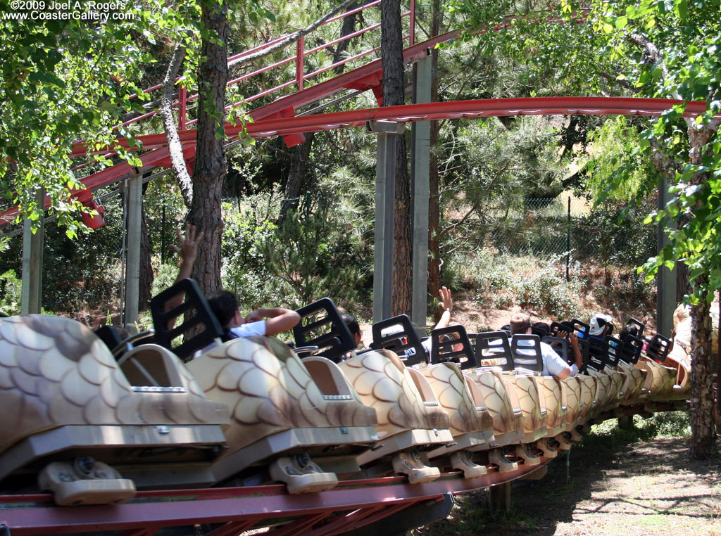 A roller coaster snaking through the trees