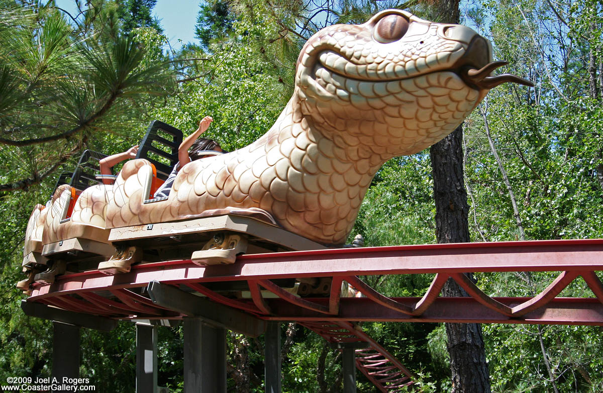 Roller coaster made like a snake
