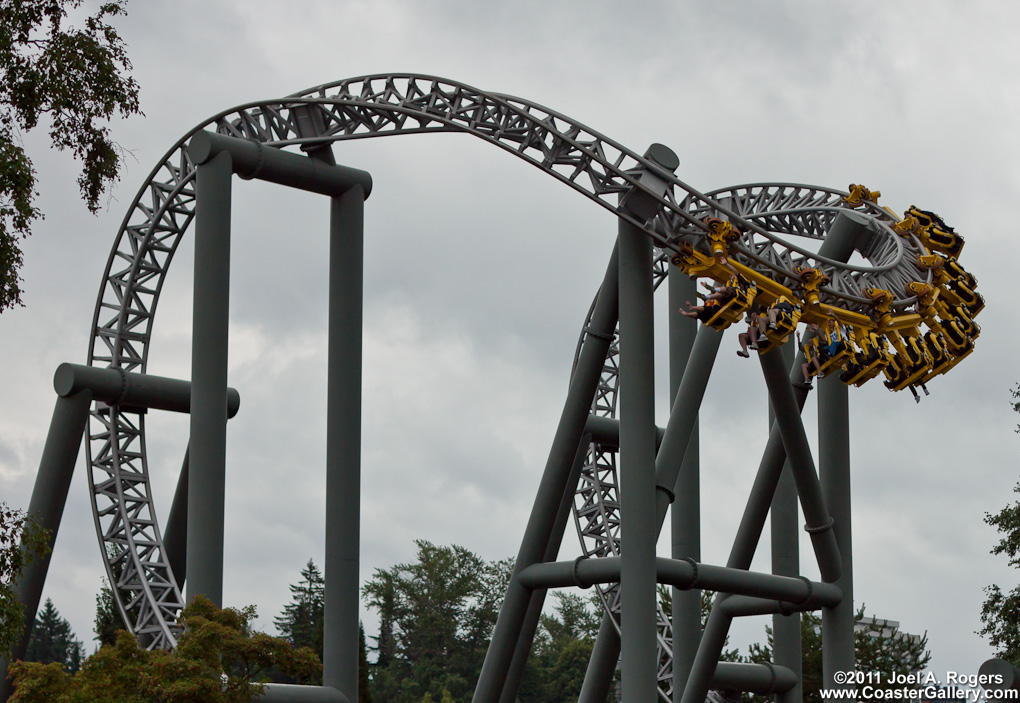 Cobra Roll loop