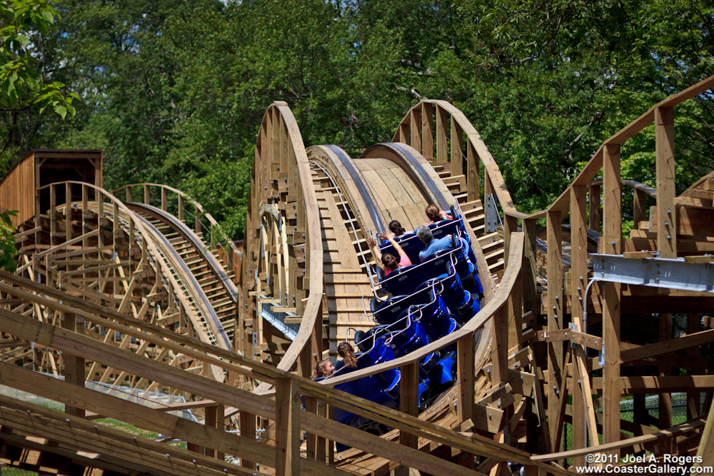 Wooden Warrior