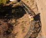 Pictures of an alpine coaster