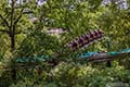 Roller coaster in Europe
