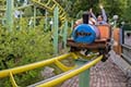 Roller coaster braking systems