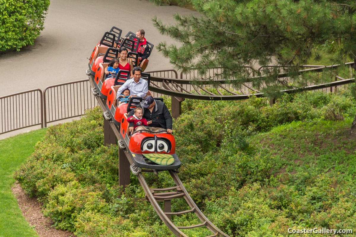 Lady Bug Coaster