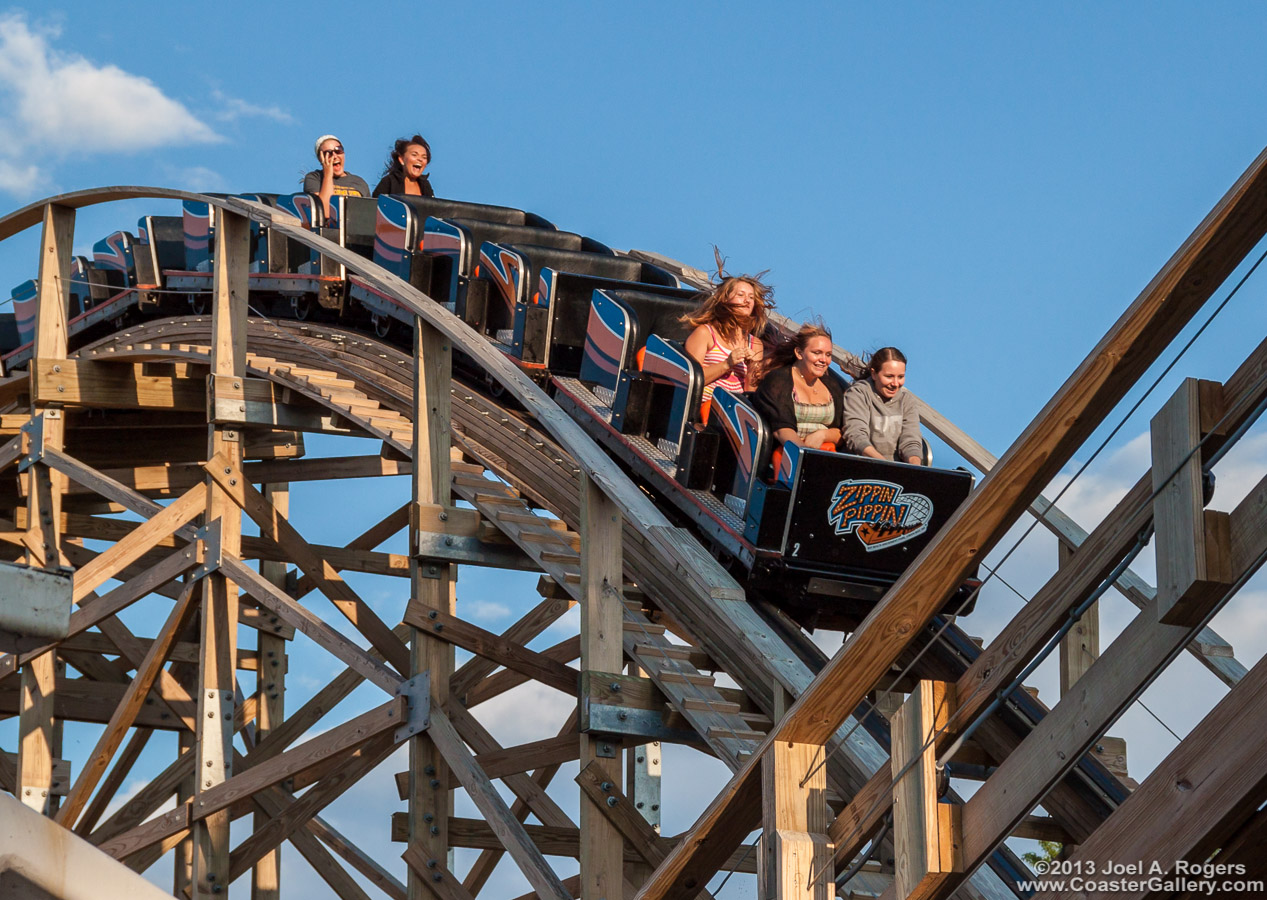 People visiting an amusement park