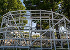 Lady Bug Coaster rollercoaster at Seabreeze