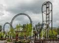 Birch trees at an amusement park