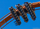 Valravn coaster