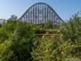 Shivering Timbers