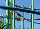 Sky Rider - Spinning suspended roller coaster at Sky Line Park in Germany