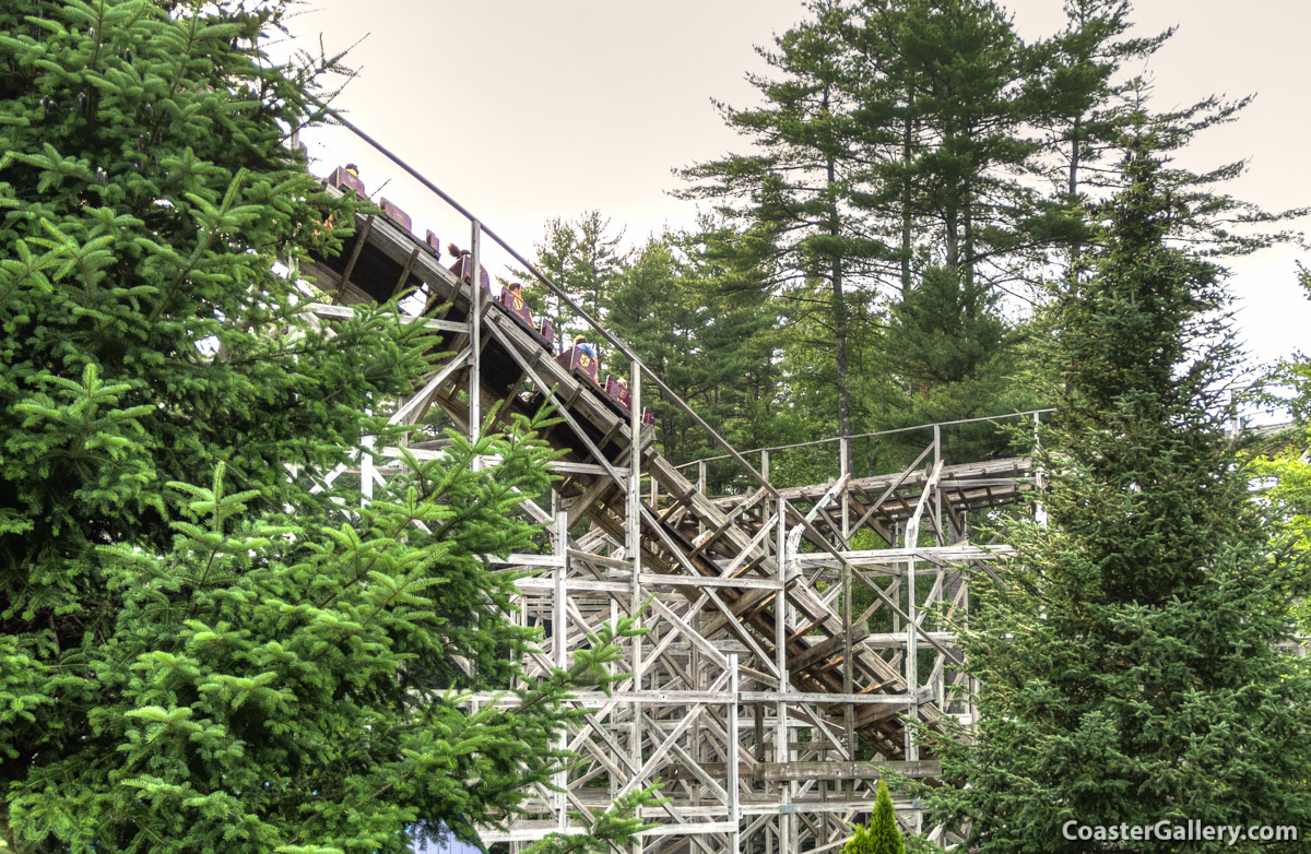 Excalibur roller coaster surrounded by trees