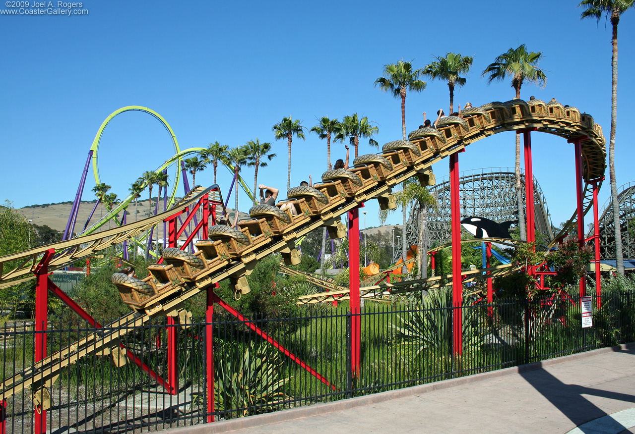 Zierer family roller coaster