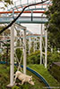 Click to enlarge Jet Coaster at Higashiyama Zoo