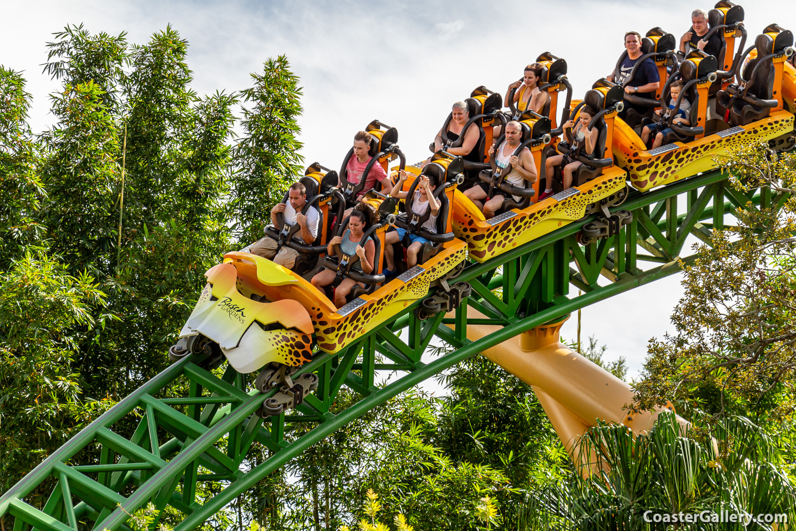 Pictures of the Cheetah Hunt train on an exciting roller coaster