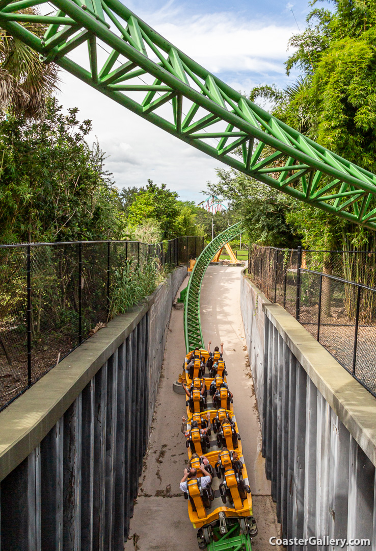 Going below ground on the Cheetah Hunt roller coaster at Busch Gardens Tampa